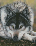 (image for) Watchful Waiting